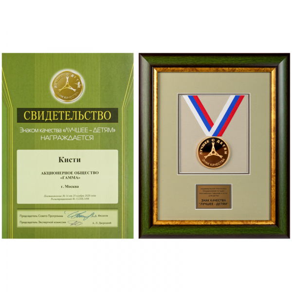 Кисть щетина Гамма, плоская №10 280618.06.010