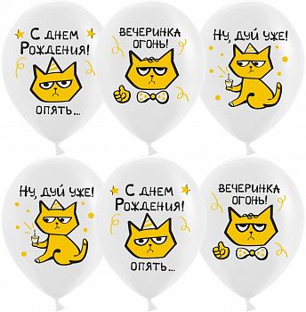 Шар (12''/30 см) С Днем Рождения! (рыжий котик), Белый, пастель 6 шт