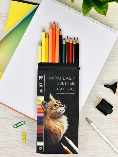 Набор цветных карандашей деревянных арт. 64103 / 24 НАТУРЕЛЬ (12 цв., размер: 8,6*17,8*0,85 см, форм