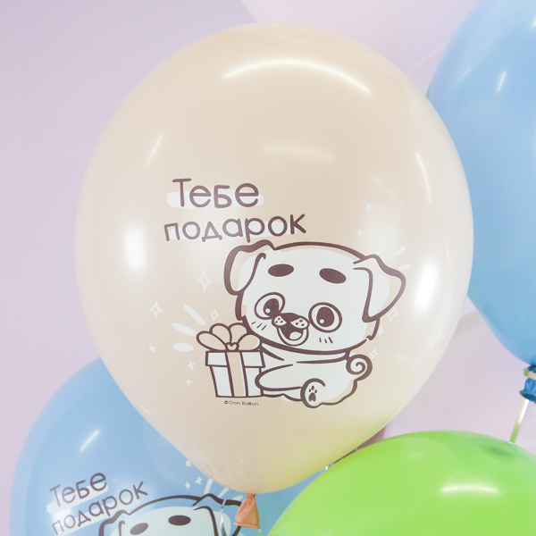 Шар (12''/30 см) С Днем Рождения (котенок и щенок), Ассорти, пастель 6 шт
