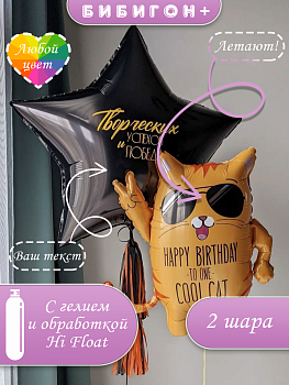 Воздушные шары с гелием кот звезда