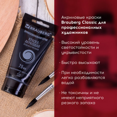 Краска акриловая художественная BRAUBERG туба 75мл, профессиональная серия, черная