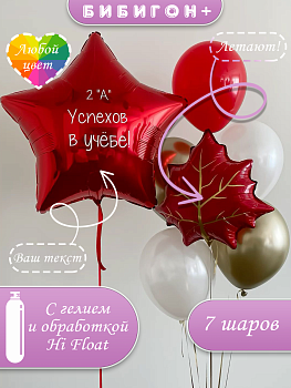 Воздушные шары с гелием для школы 1 сентября